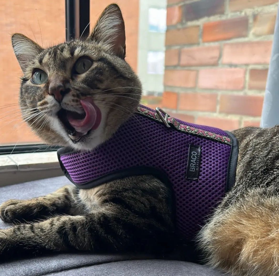 Pechera para Gato con Correa Marca Braco
