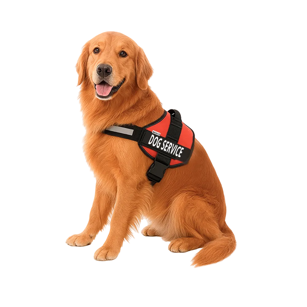 Combo Pechera de Apoyo Emocional + 2 Tags Personalizados Marca Braco