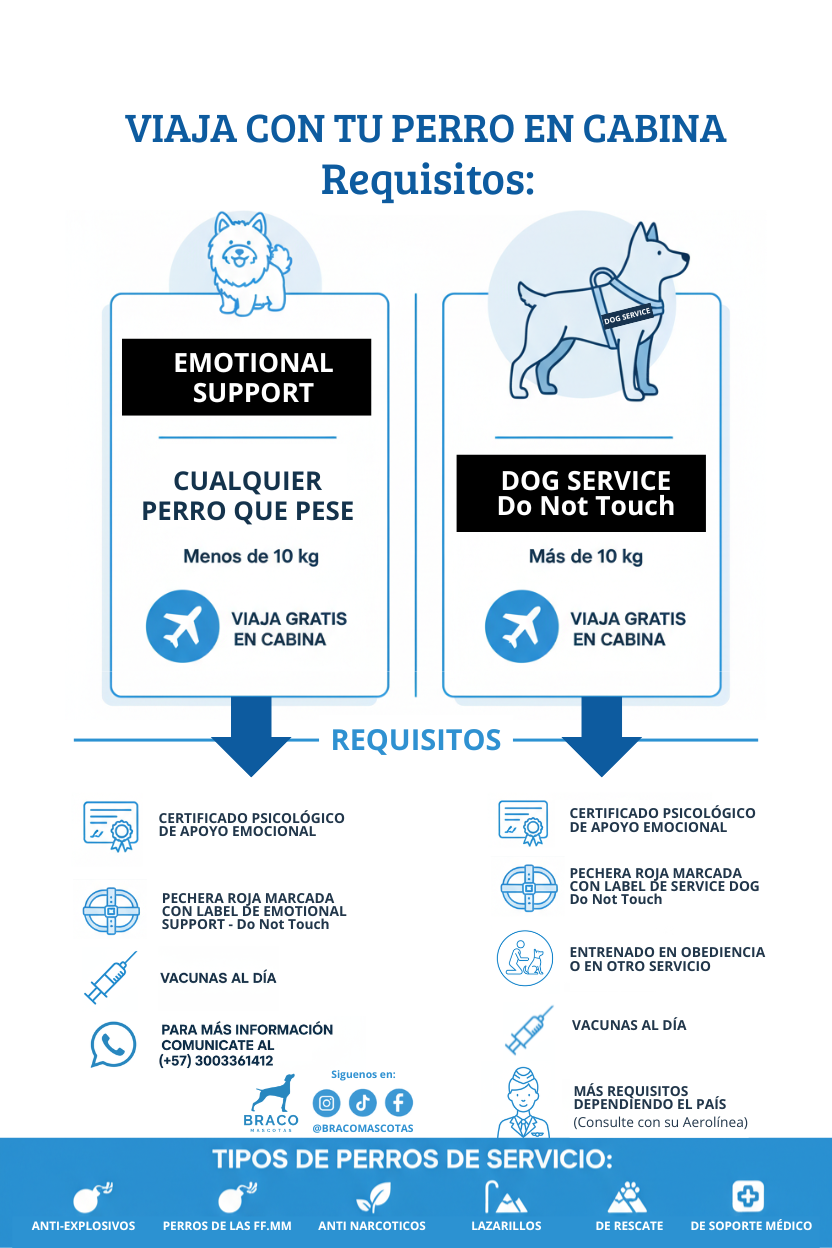 Certificado de Apoyo Emocional