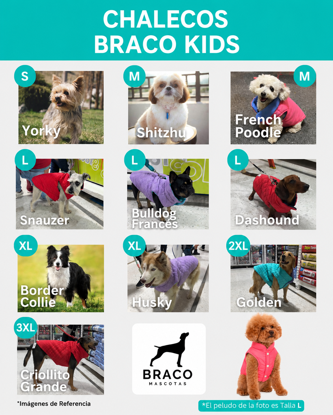Chaleco para Perro Rosa con Azul Celeste, Braco Kids, Marca Braco