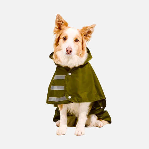 Capa impermeable para Perro Verde Militar Marca Braco