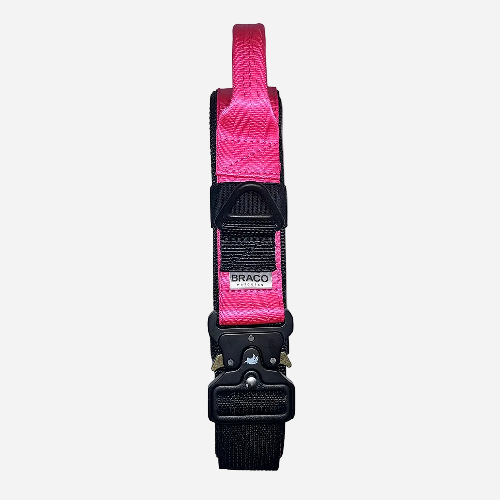 Collar Táctico de Identificación para Perro Fucsia, C. Gladiador, Marca Braco