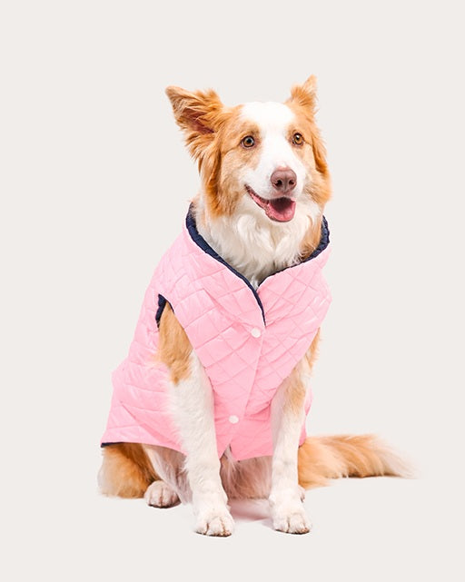 Chaqueta Impermeable para Perro Doble Faz, Rosado con Azul Marino, Marca BRACO