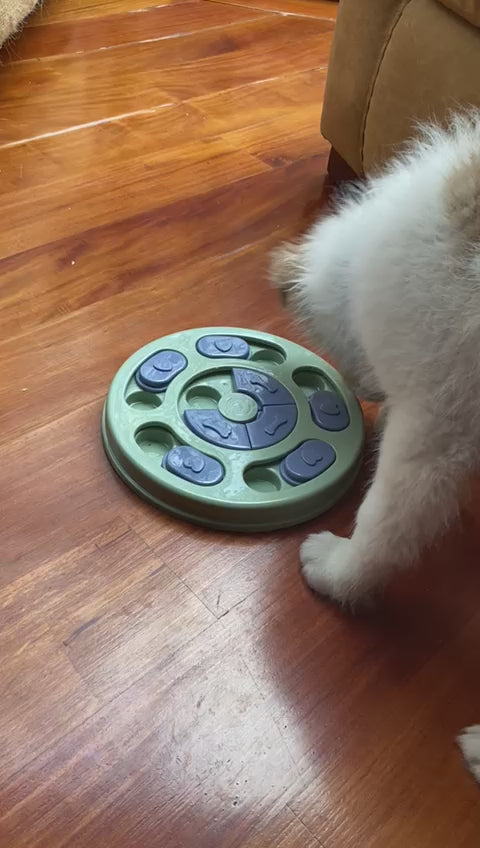 Plato Interactivo forma de Huella (Perro y Gato)