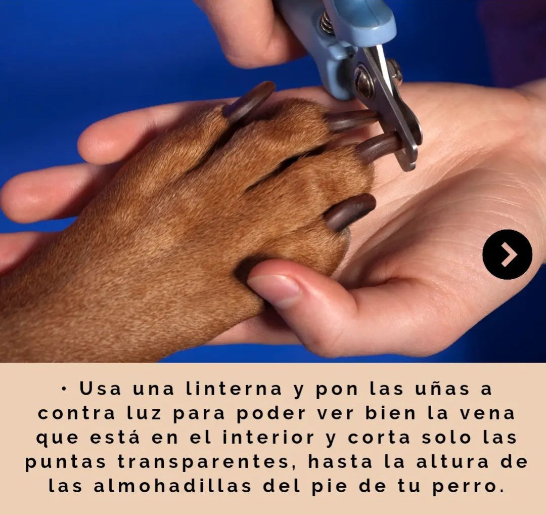 Corta uñas para perros y gatos