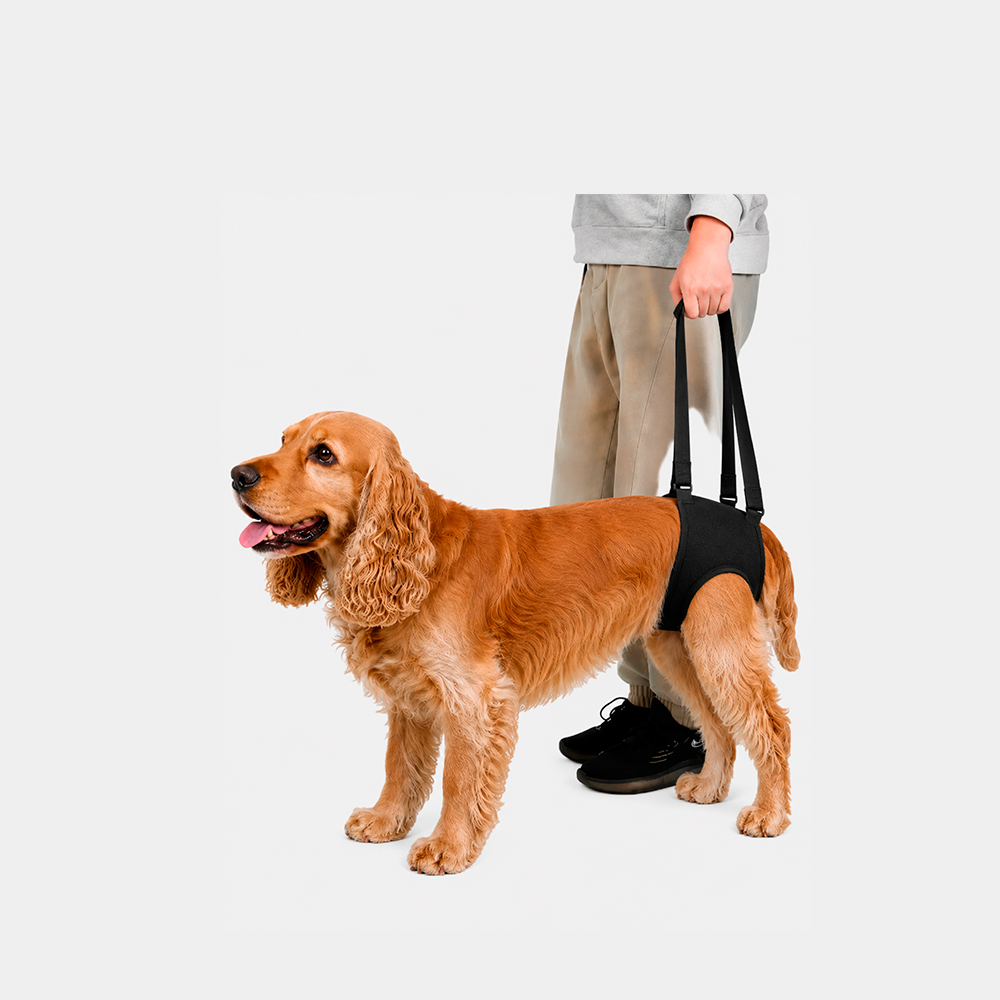 SOPORTE DE CADERA PARA PERRO (M)