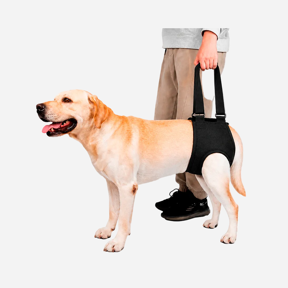 SOPORTE DE CADERA PARA PERRO (L/XL)